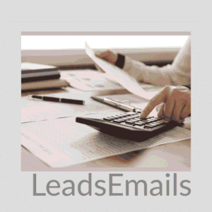 Chartered-Accountant – Global