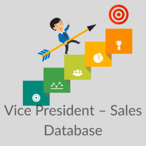 Vice President – Sales Database