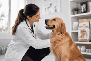 Pet-Food-Company